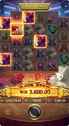 nk666 · Rooster Rbl